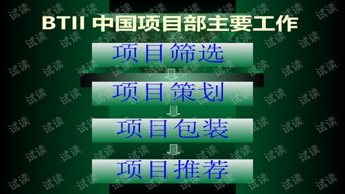 兆联公司与融资项目策划业务介绍商业计划书精品模板 餐饮项目策划